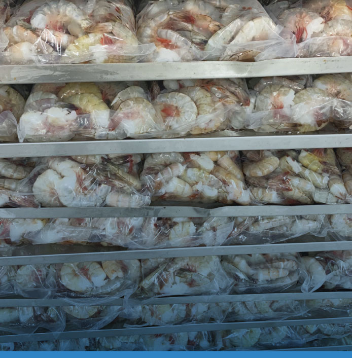 comerfishgroup-langostino